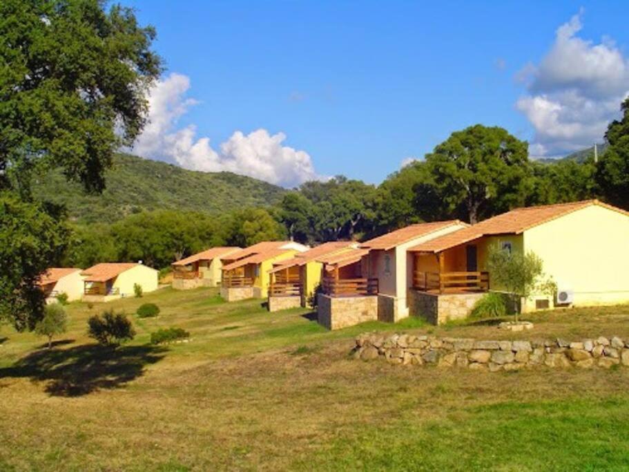 Maison Au Calme Avec Piscine Et Climatisation Sollacaro Zewnętrze zdjęcie