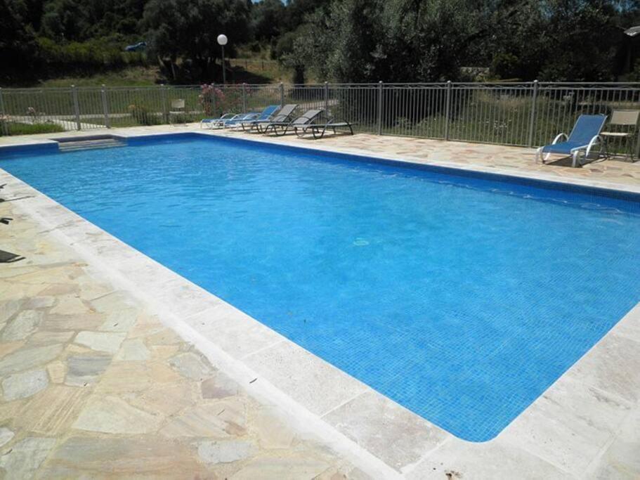 Maison Au Calme Avec Piscine Et Climatisation Sollacaro Zewnętrze zdjęcie