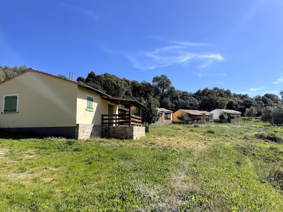 Maison Au Calme Avec Piscine Et Climatisation Sollacaro Zewnętrze zdjęcie